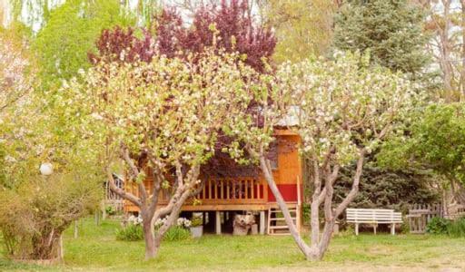 Hosteria La Farfalla Chos Malal Exterior foto